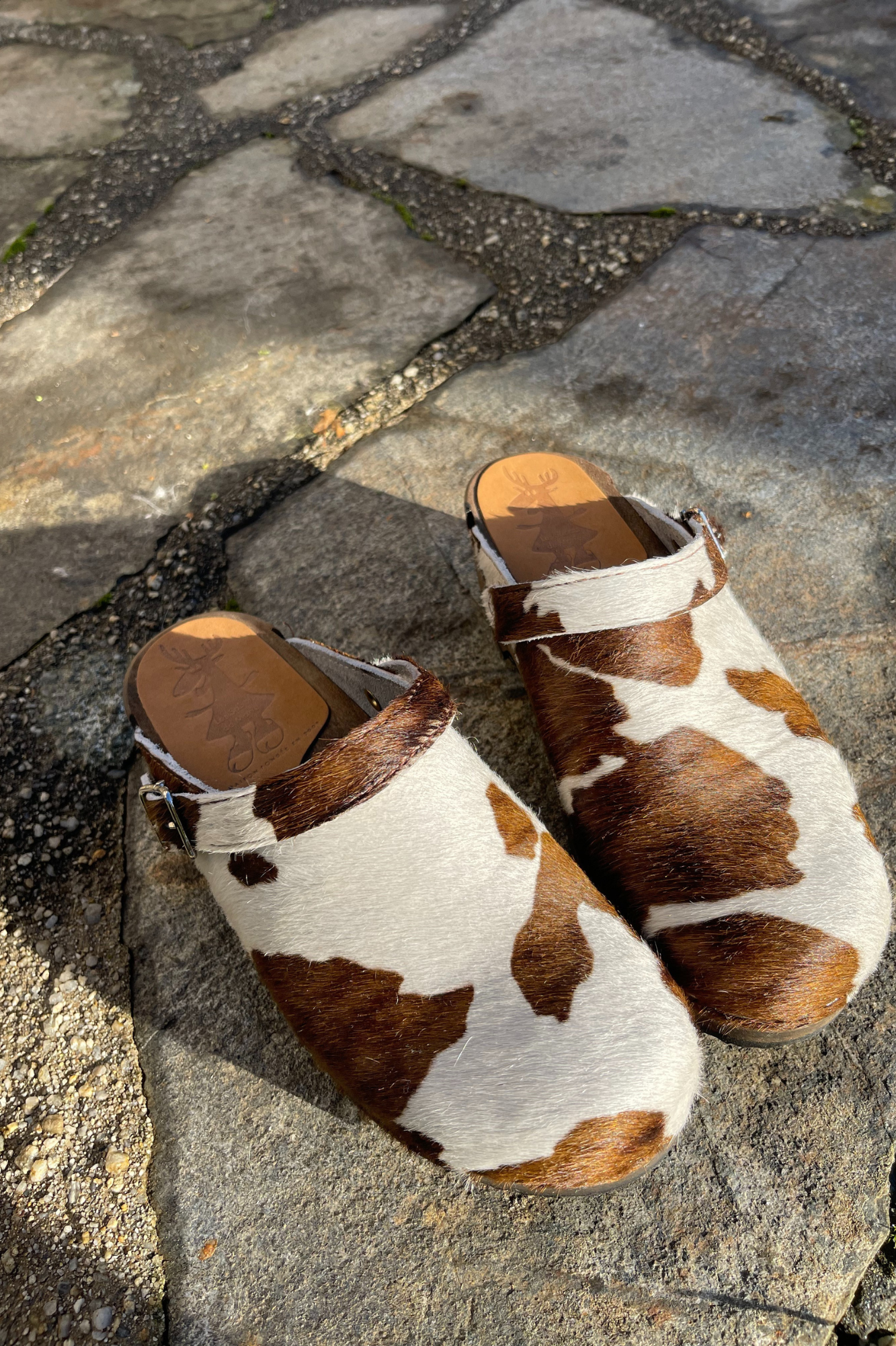 Sabots - Cow Brown avec boucle amovible 1